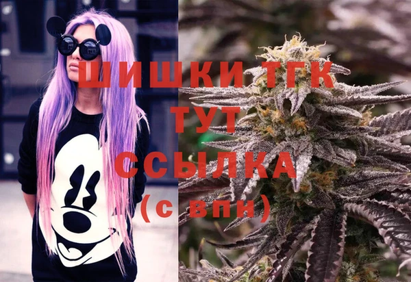 ALPHA PVP Остров