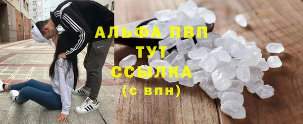 спиды Алзамай