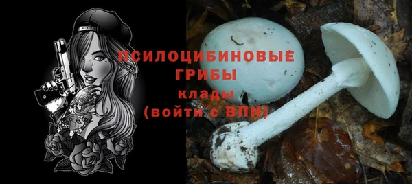 спиды Алзамай