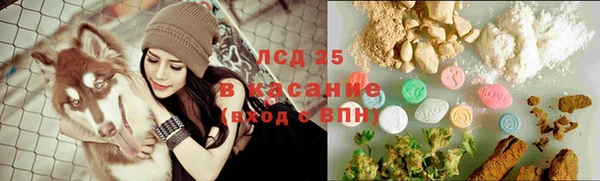 спиды Алзамай