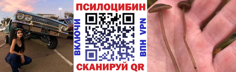 Галлюциногенные грибы ЛСД  Спасск 